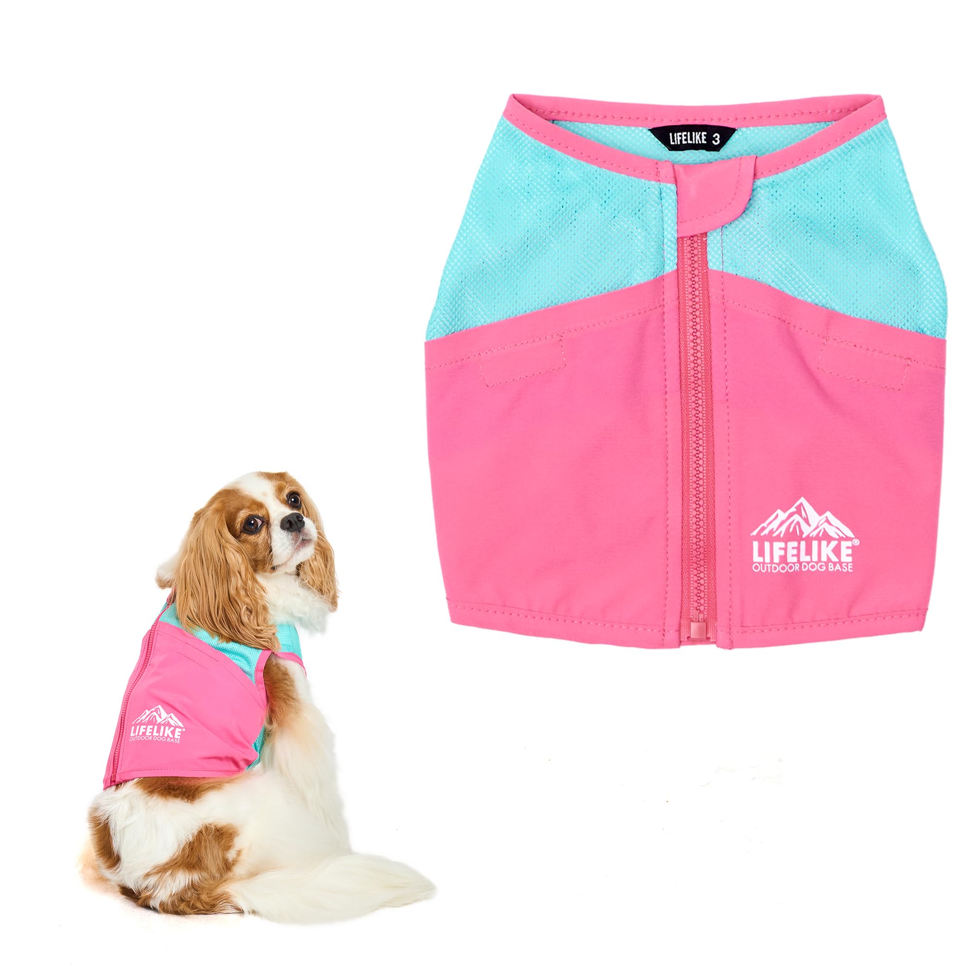 ハンドメイド犬服☆びたみん Amazon | 【LIFELIKE公式】ICEビタミンカラーベスト 1-5号 FB-M,L